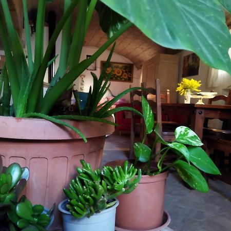 Romantic Loft Pitigliano Dış mekan fotoğraf